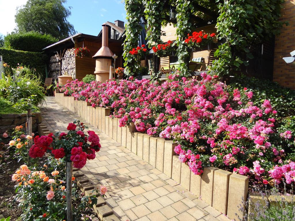 Gaestehaus Nelles Sinzig Oda fotoğraf
